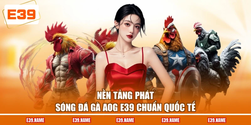 Nền tảng phát sóng đá gà AOG E39 chuẩn quốc tế