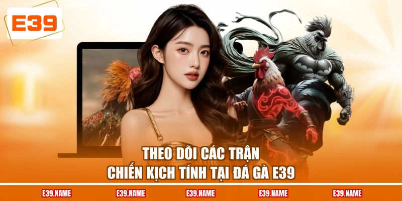 Theo dõi các trận chiến kịch tính tại đá gà E39