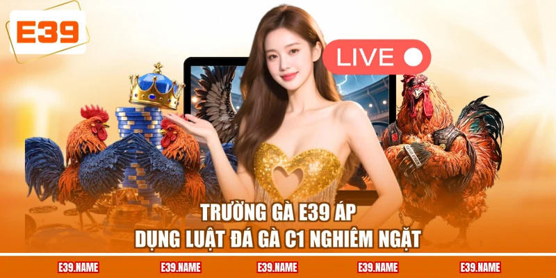 Trường gà E39 áp dụng luật đá gà C1 nghiêm ngặt